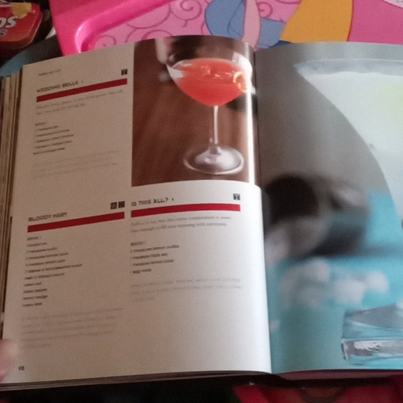 The Bartender's Guide- Paragon Books Ltd. 2008 - Picture 13 of 17